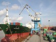 Container Việt Nam (VSC) trả cổ tức 5% còn lại của năm 2020