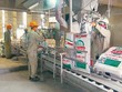 Quý I/2021, Hóa chất Đức Giang (DGC) báo cáo doanh thu tăng 28,2% lên 1.949,2 tỷ đồng