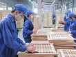 Gỗ Trường Thành (TTF): Quý I/2021 lỗ thêm 39,3 tỷ đồng nâng mức lỗ lũy kế bằng 99,1% vốn điều lệ
