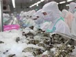 Thực phẩm Sao Ta (FMC): Tháng 4 doanh số tăng 46% lên 16,4 triệu USD
