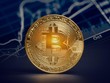 Các nhà quản lý tài sản bày tỏ sự thận trọng đối với Bitcoin sau những hành động của Elon Musk
