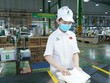 An Phát Holdings (APH) dự kiến mua thêm 7 triệu cổ phiếu Nhựa An Phát Xanh (AAA) để nâng sở hữu lên 52,95%