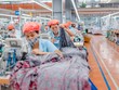 Con gái Chủ tịch HĐQT May Sông Hồng (MSH) vừa mua vào gần 1% vốn điều lệ