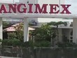 Xuất nhập khẩu An Giang (AGM) thành lập 5 công ty con hoạt động chính là sản xuất kinh doanh lúa gạo