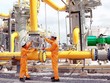 Cổ đông lớn nước ngoài muốn tăng sở hữu tại Phân phối khí thấp áp Dầu khí Việt Nam (PGD)