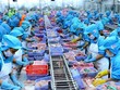 Nam Việt (ANV): Quý II/2021, lợi nhuận giảm 26,2% chủ yếu do chi phí bán hàng tăng cao