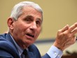 Tiến sĩ Anthony Fauci: Mỹ sẽ không phong toả bất chấp sự gia tăng ca nhiễm biến thể Delta