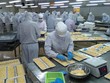 Camimex Group (CMX) chuẩn bị chào bán 30 triệu cổ phiếu riêng lẻ để huy động 351 tỷ đồng
