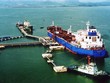 Vận tải xăng dầu VITACO (VTO): Người thân lãnh đạo đăng ký bán toàn bộ hơn 3,92 triệu cổ phiếu