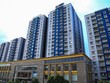 Năm Bảy Bảy (NBB) vừa phát hành 490 tỷ đồng trái phiếu lãi suất 11%