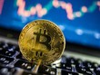 'Cá voi Bitcoin' thức giấc sau 3 năm