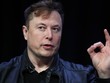 Elon Musk lại dành lời khen cho Trung Quốc