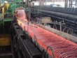 DTL trả cổ tức năm 2012 bằng cổ phiếu