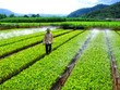 54% doanh nghiệp Việt Nam bị gián đoạn sản xuất kinh doanh nặng do biến đổi khí hậu