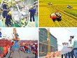 Doanh nghiệp châu Âu duy trì đánh giá tích cực về tình hình kinh doanh tại Việt Nam