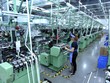 Ngân hàng thế giới: Kinh tế Việt Nam vẫn tạm thời đứng vững, tăng trưởng 4,9% năm 2020