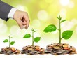 Nhận định thị trường phiên giao dịch chứng khoán ngày 31/5: Gia tăng thêm tỷ trọng cổ phiếu