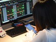 Tiền nóng “thổi” cổ phiếu nhỏ và những bài học chưa cũ