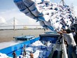 Đề nghị xem xét cho thông quan doanh nghiệp xuất khẩu gạo đã ký hợp đồng trước ngày 24/03