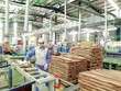 Mới khảo sát nhanh đã cho kết quả 76% doanh nghiệp ngành gỗ bị thiệt hại