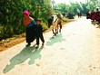 Bất ngờ, Lai Châu vượt Hà Nội thành địa phương đắt đỏ nhất