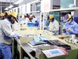 Đến tháng 6, có gần 31 triệu người bị ảnh hưởng tiêu cực bởi Covid-19