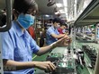 VEPR: Tăng trưởng 3 quý đạt 2,1%, cả năm cao nhất đạt 2,8%