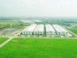 An Phát Holdings bắt đầu thu “trái ngọt”