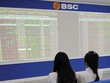 BSC phát hành hơn 3,7 triệu cổ phiếu để trả cổ tức