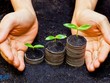 Ưu đãi đầu tư và những câu chuyện giật mình