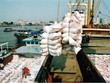 Vinafood 2 mắc nhiều sai phạm