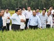 Hợp sức đưa con tàu kinh tế về đích tăng trưởng (Kỳ 3): Công nghệ cao đưa nông nghiệp Việt “cất cánh”