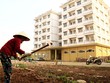 HoREA: Không nên loại trừ đối tượng vay vốn thuê, mua nhà ở xã hội