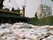 Đấu giá Vinafood II: Giá trúng bình quân quanh giá khởi điểm