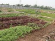 Thoái vốn nhà nước chậm: Vì sao, giải pháp nào?