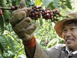 Rộng cửa với phái sinh hàng hóa, tại sao không?