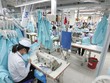 Cẩn trọng rủi ro liên hoàn biến động tỷ giá - thương mại