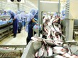 Cải thiện môi trường kinh doanh: Doanh nghiệp cần nhìn thấy tiền thật