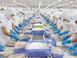 Xuất khẩu nông sản Việt đã đứng top 15 thế giới