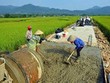 Hơn 26.800 tỷ đồng đầu tư cho xây dựng nông thôn mới