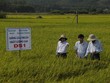 Nông nghiệp Bình Định phát triển đồng đều từ “tam nông”
