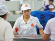 Công khai danh tính doanh nghiệp nhà nước doanh thu trên 500 triệu USD/năm theo cam kết CPTPP