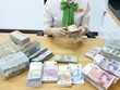 Tỷ giá sẽ được điều chỉnh ở biên độ hẹp
