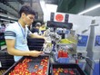 Các lựa chọn chiến lược cho kinh tế Việt Nam 2019