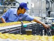 Lao động của Sabeco tái ký hơp đồng phải thử việc lại, đúng luật không?