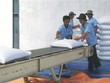Lộc Trời và Tấn Vương sẽ xuất khẩu 84.000 tấn gạo mỗi năm sang Trung Quốc