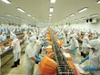 5 tháng, xuất khẩu thủy sản đạt 3,2 tỷ USD