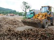 Xuất khẩu sắn lao đao vì Trung Quốc siết chặt nhập khẩu
