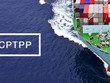 Sắp có Nghị định hướng dẫn thực thi Hiệp định CPTPP về đấu thầu