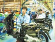 Chào đón nhà đầu tư EU
